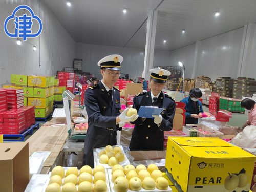 為企業(yè)解難題暢通路，天津新港海關(guān)助力特色農(nóng)產(chǎn)品擴(kuò)大出口