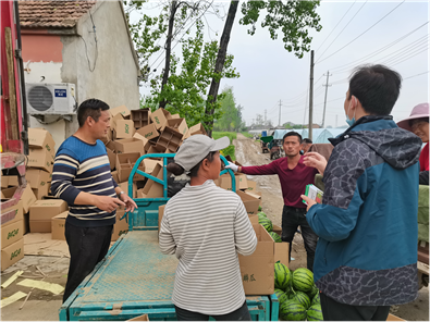筑牢食品安全防線 守護(hù)群眾“舌尖上的清涼”——縣農(nóng)業(yè)局開展西瓜農(nóng)產(chǎn)品質(zhì)量安全專項(xiàng)抽檢行動(dòng)